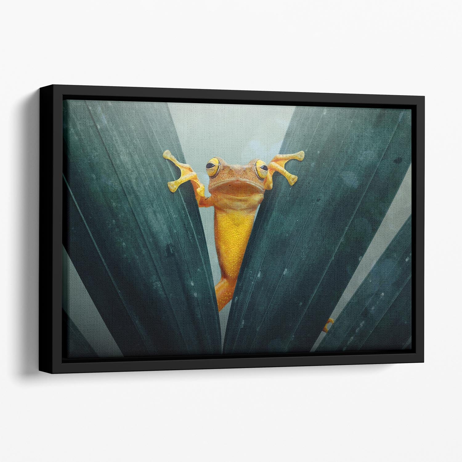 Gold Frog Floating Framed Canvas - 1x - 1