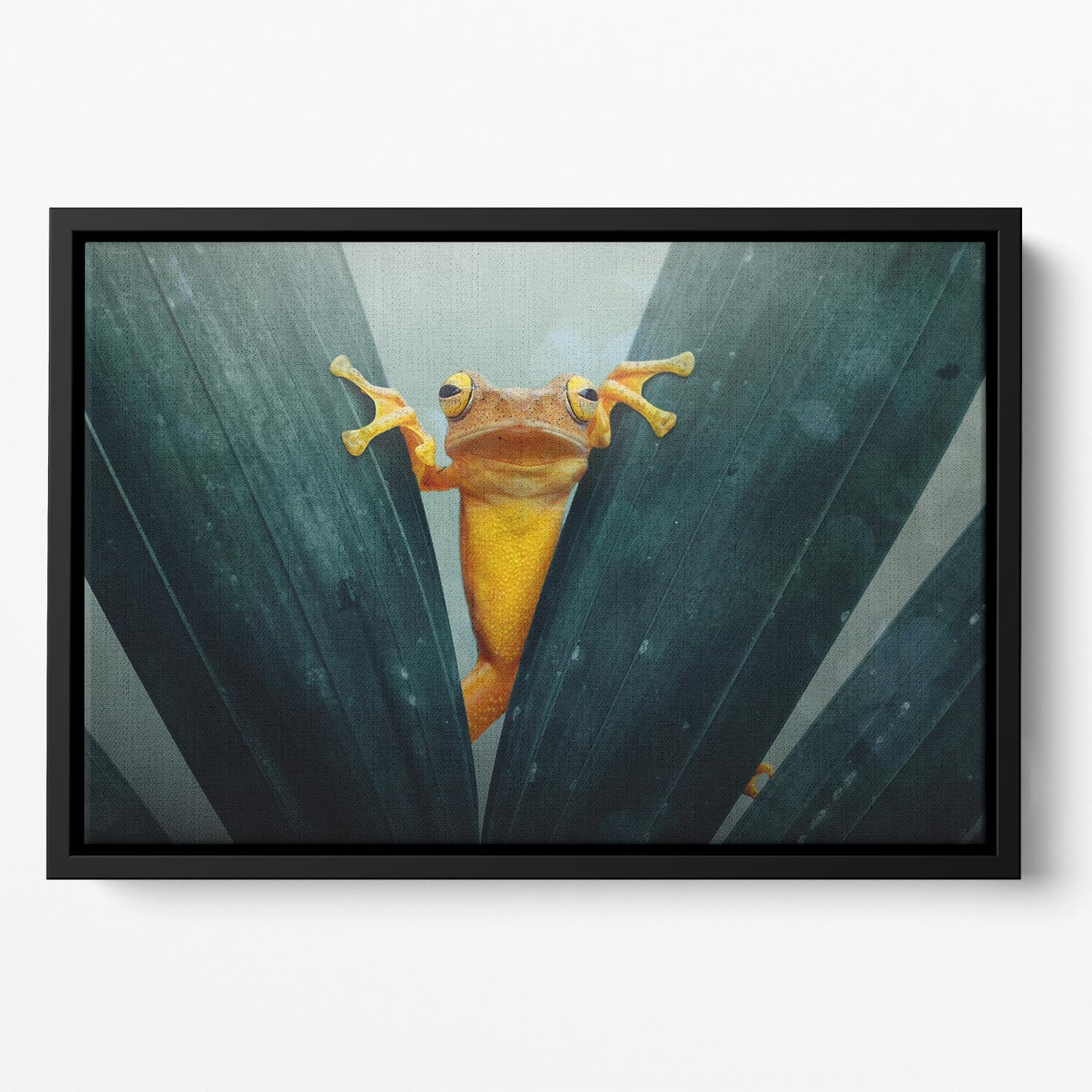 Gold Frog Floating Framed Canvas - 1x - 2