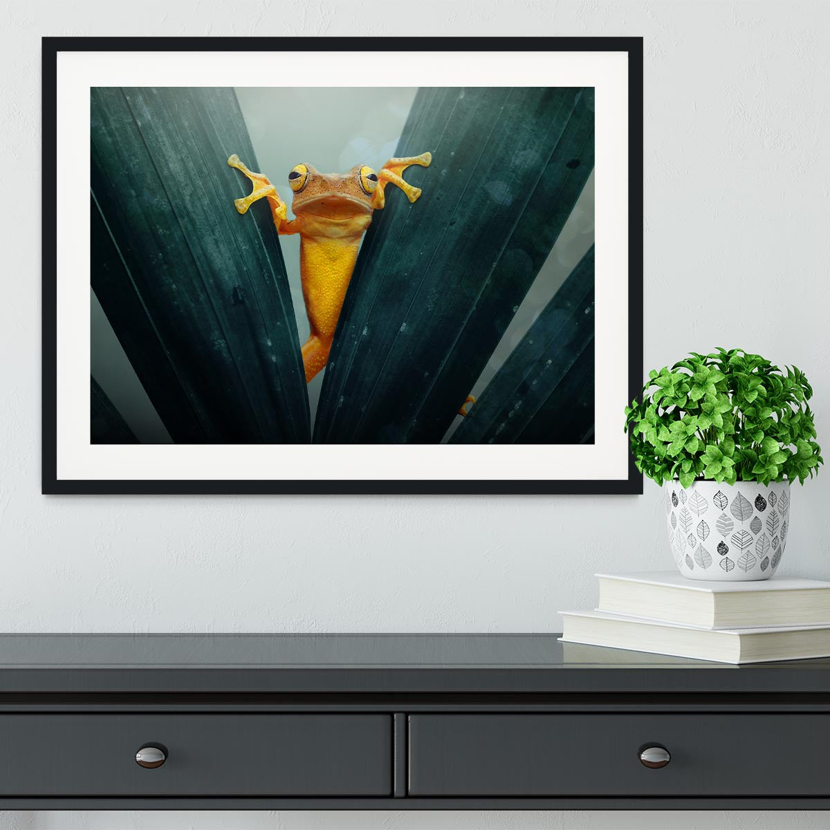 Gold Frog Framed Print - 1x - 1