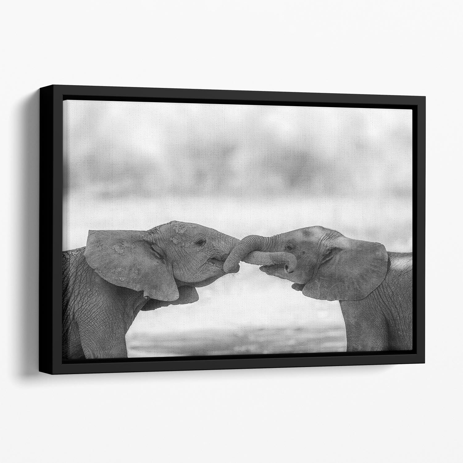 Greetings Floating Framed Canvas - 1x - 1