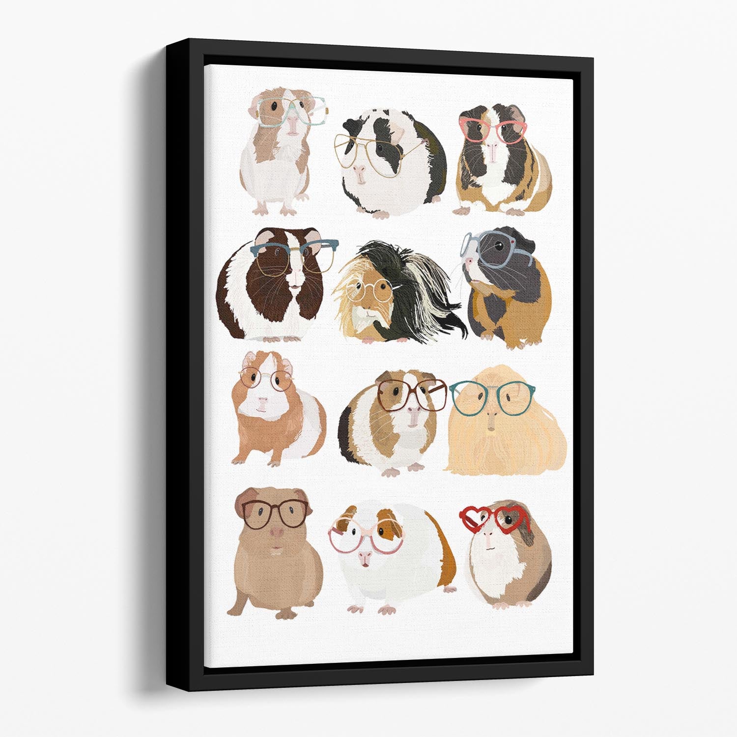 Guinea Pig in Glasses Floating Framed Canvas - 1x - 1