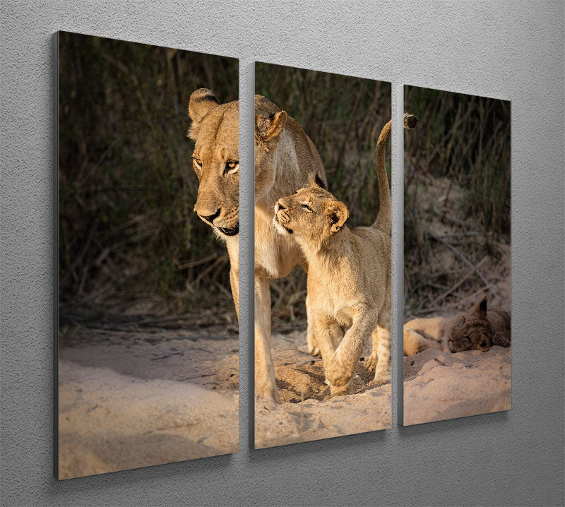 Happy 3 Split Panel Canvas Print - 1x - 2