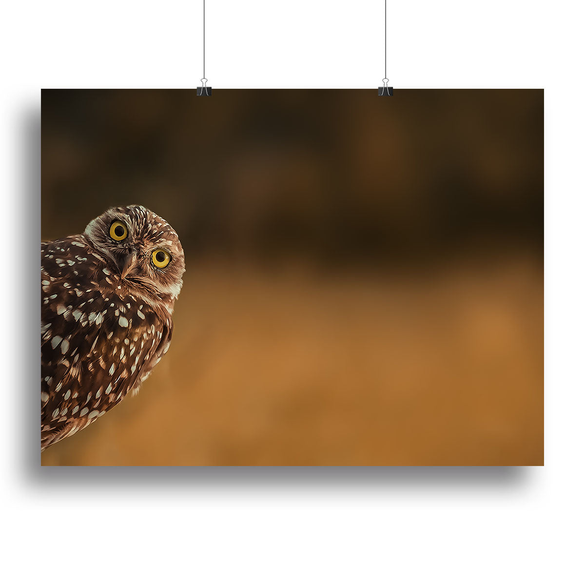 Hi there Canvas Print or Poster - 1x - 2