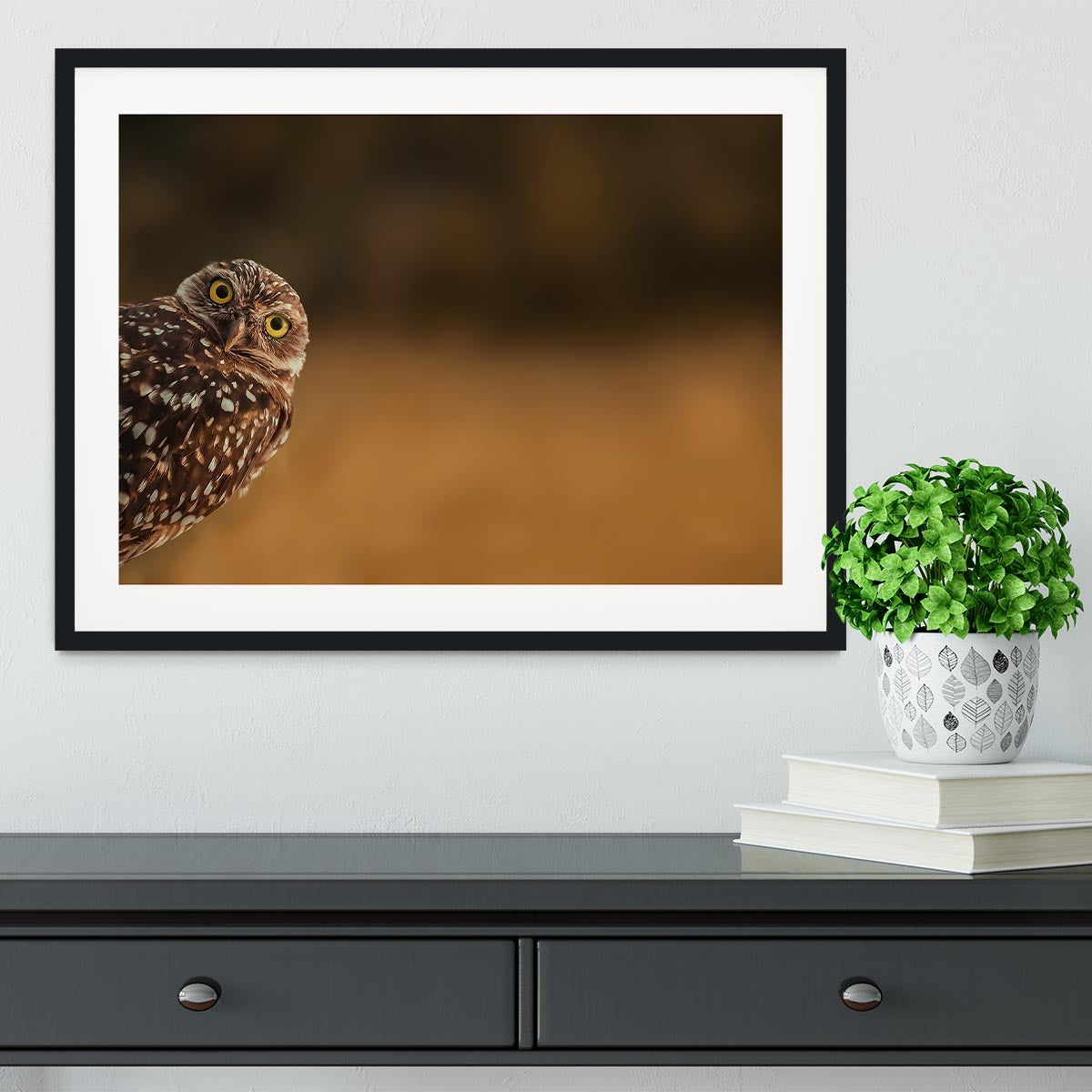 Hi there Framed Print - 1x - 1