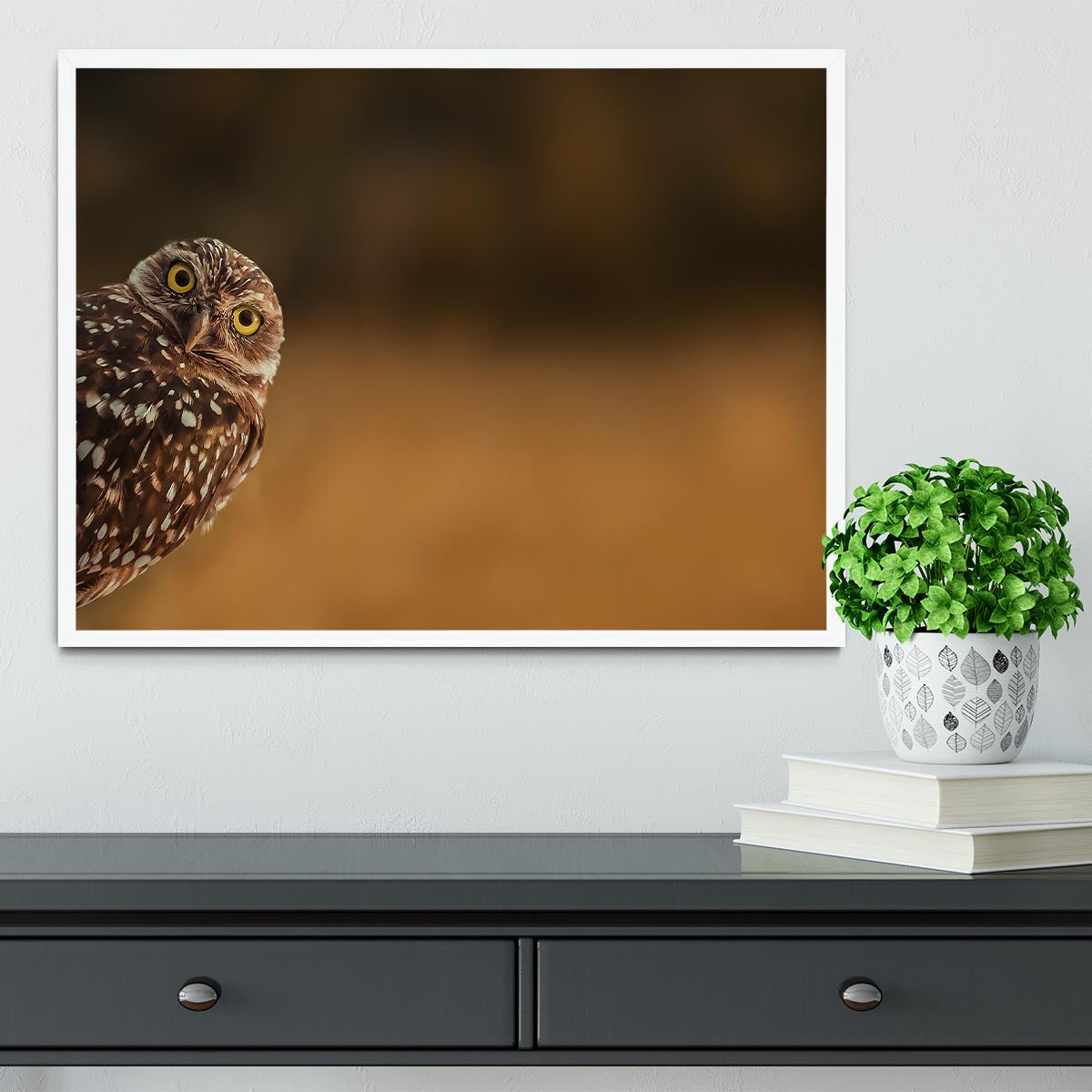 Hi there Framed Print - 1x -6