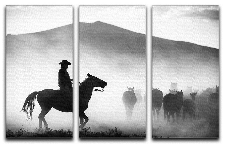 His Territory 3 Split Panel Canvas Print - 1x - 1