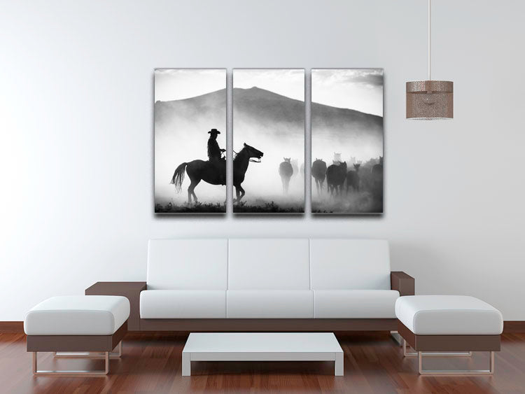 His Territory 3 Split Panel Canvas Print - 1x - 3