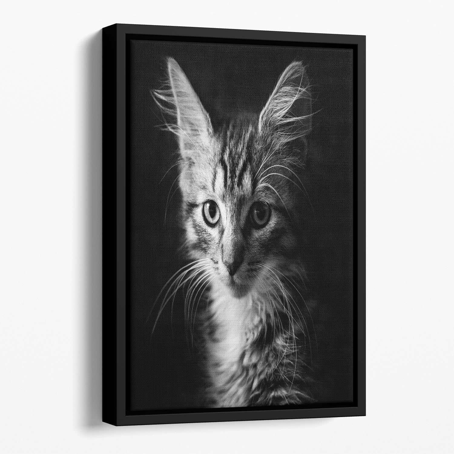 Laban Floating Framed Canvas - 1x - 1