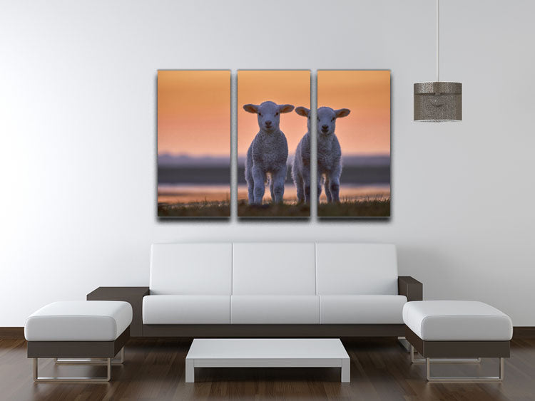 Lamb Twins 3 Split Panel Canvas Print - 1x - 3