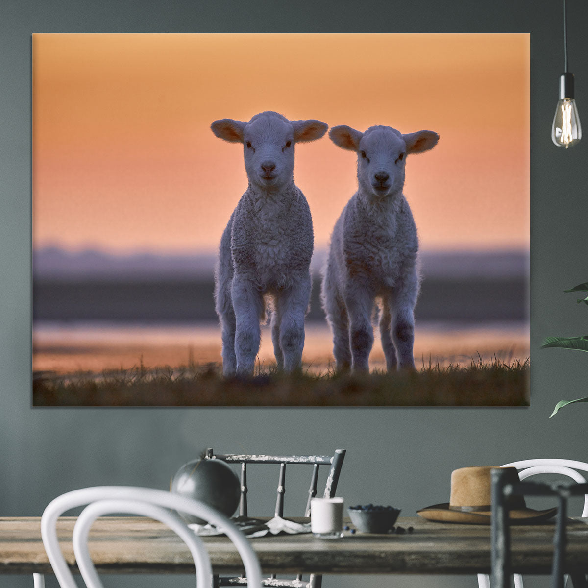 Lamb Twins Canvas Print or Poster - 1x - 3