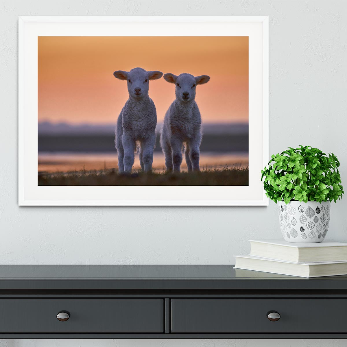 Lamb Twins Framed Print - 1x - 5