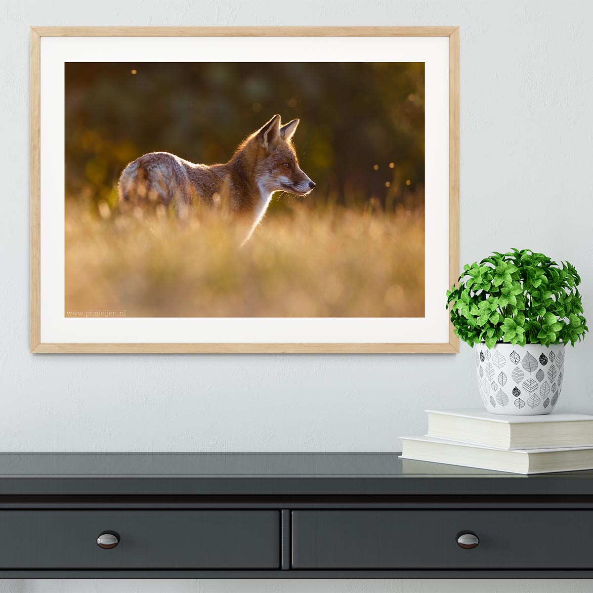 Last Light Fox Framed Print - 1x - 3