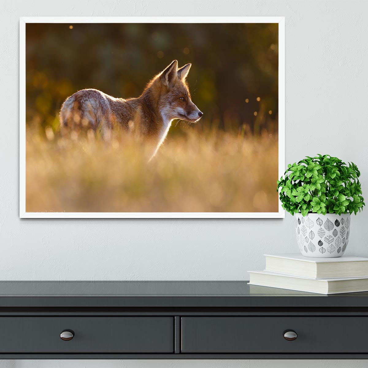 Last Light Fox Framed Print - 1x -6