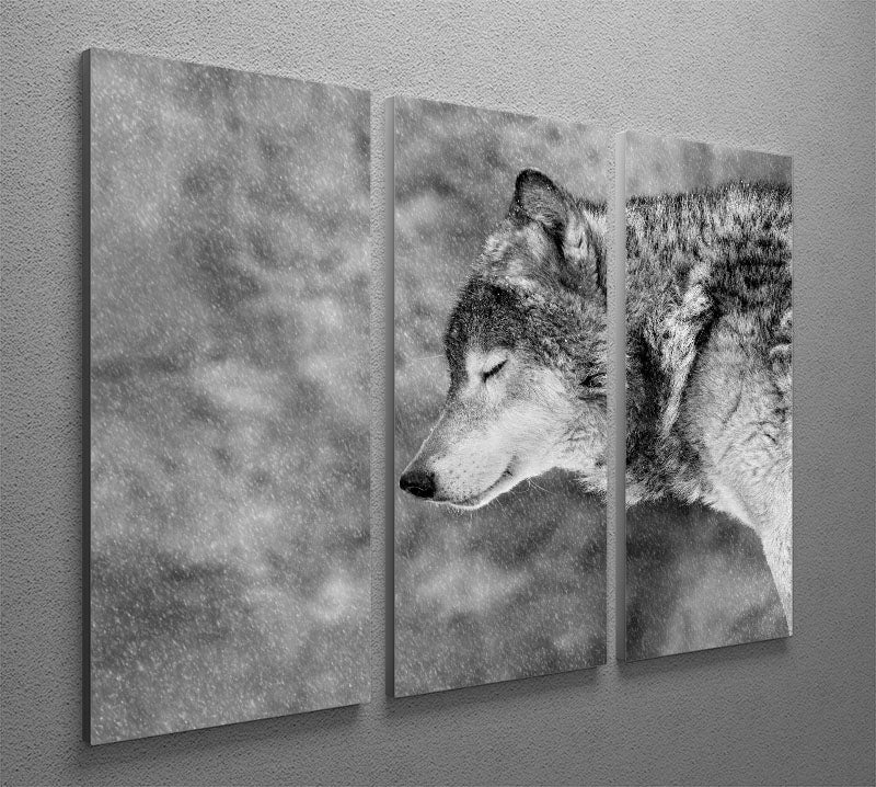 Let it snow 3 Split Panel Canvas Print - 1x - 2