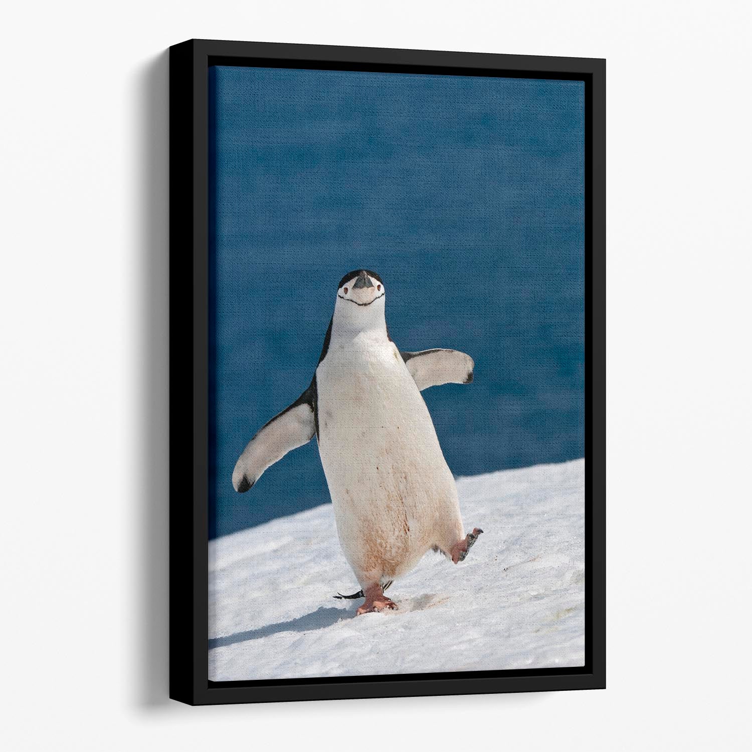 Life is good Floating Framed Canvas - 1x - 1