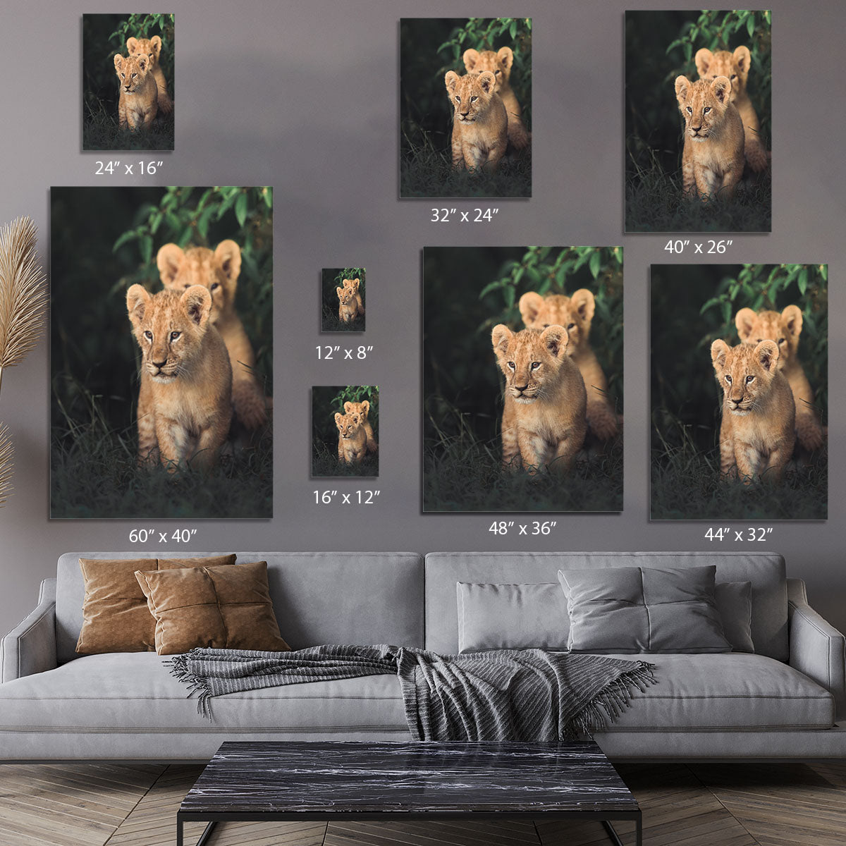 Lions Cub Canvas Print or Poster - 1x - 7