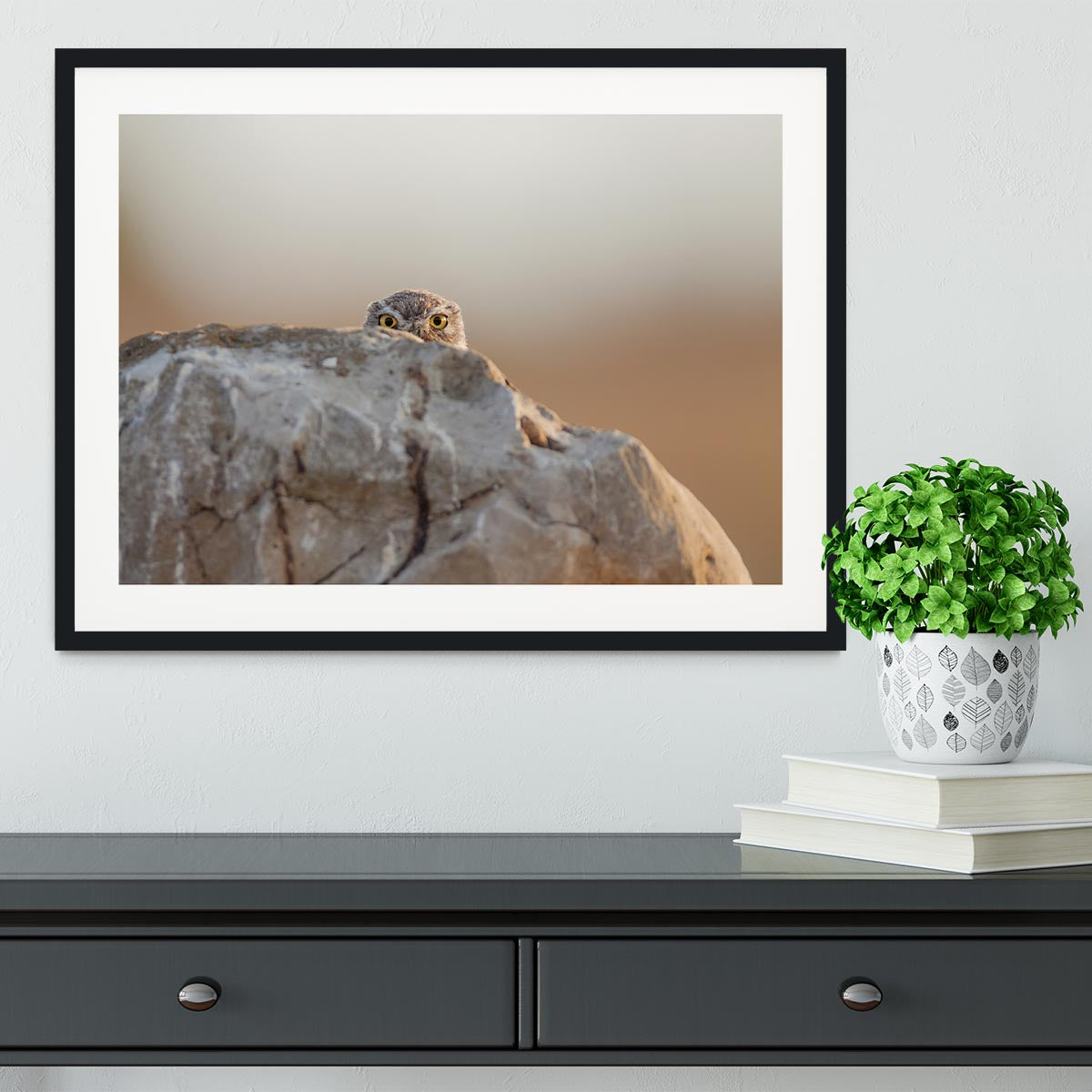 Little Owl Framed Print - 1x - 1