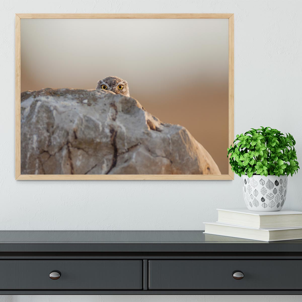 Little Owl Framed Print - 1x - 4