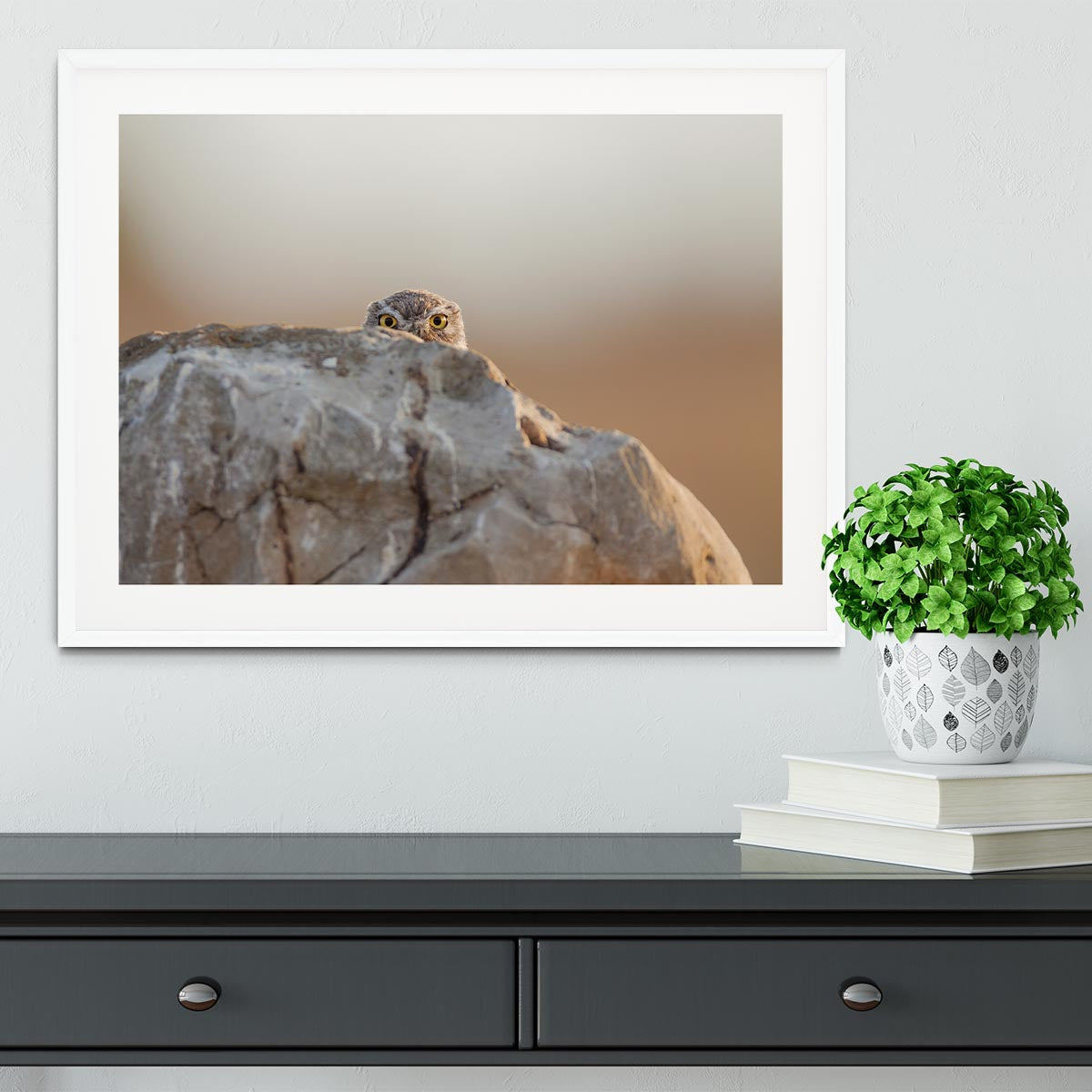 Little Owl Framed Print - 1x - 5