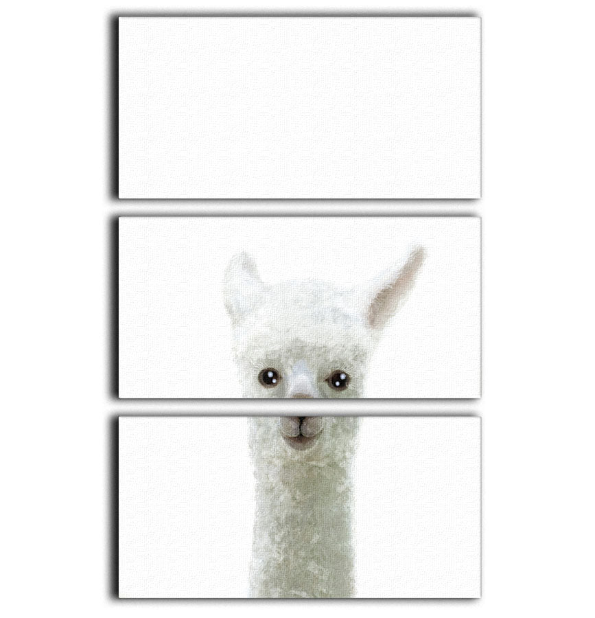 Llama 3 Split Panel Canvas Print - 1x - 1