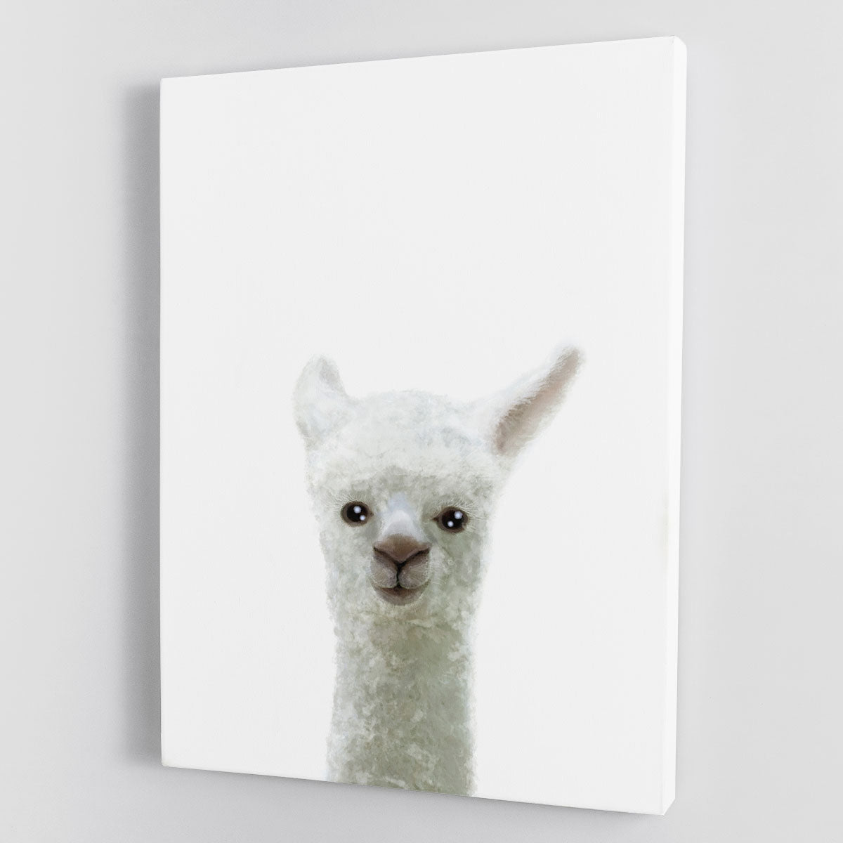 Llama Canvas Print or Poster - 1x - 1