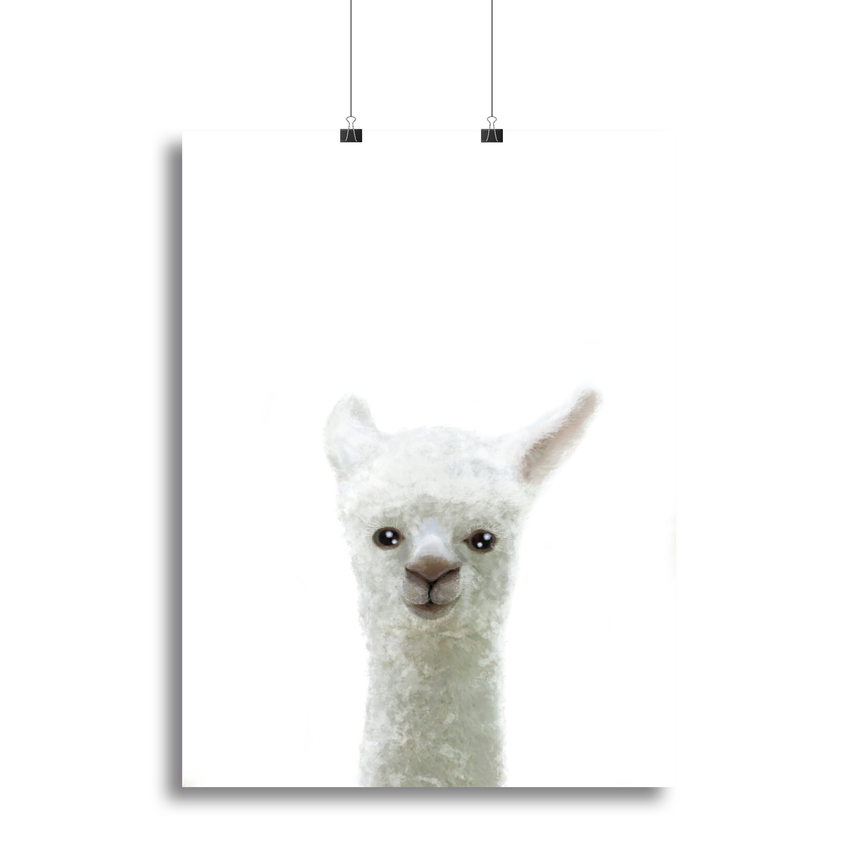 Llama Canvas Print or Poster - 1x - 2