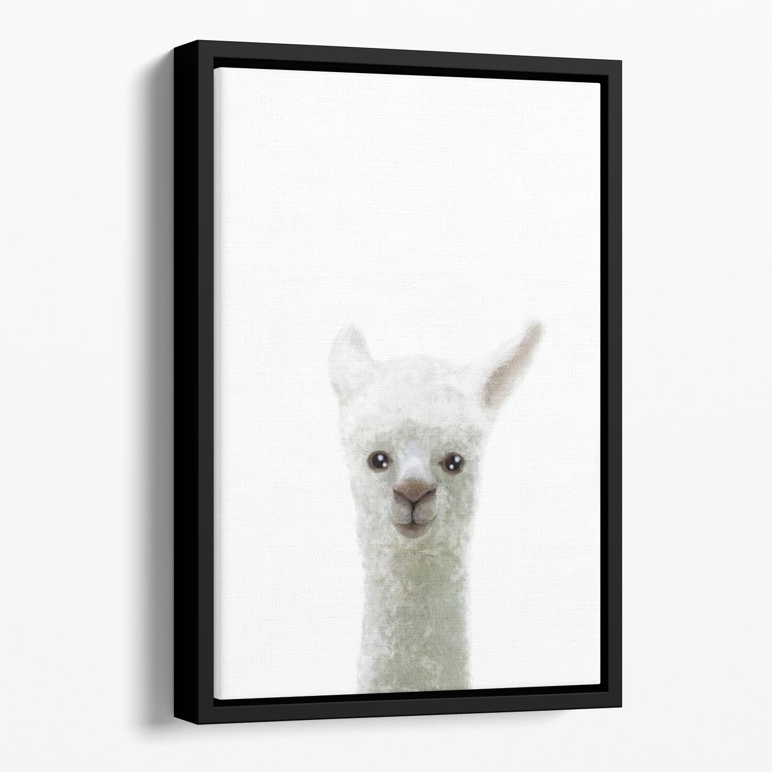 Llama Floating Framed Canvas - 1x - 1