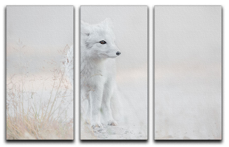 Looking around 3 Split Panel Canvas Print - 1x - 1