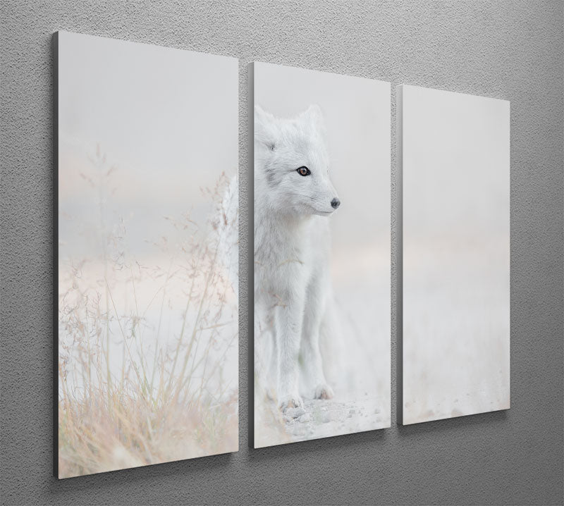 Looking around 3 Split Panel Canvas Print - 1x - 2