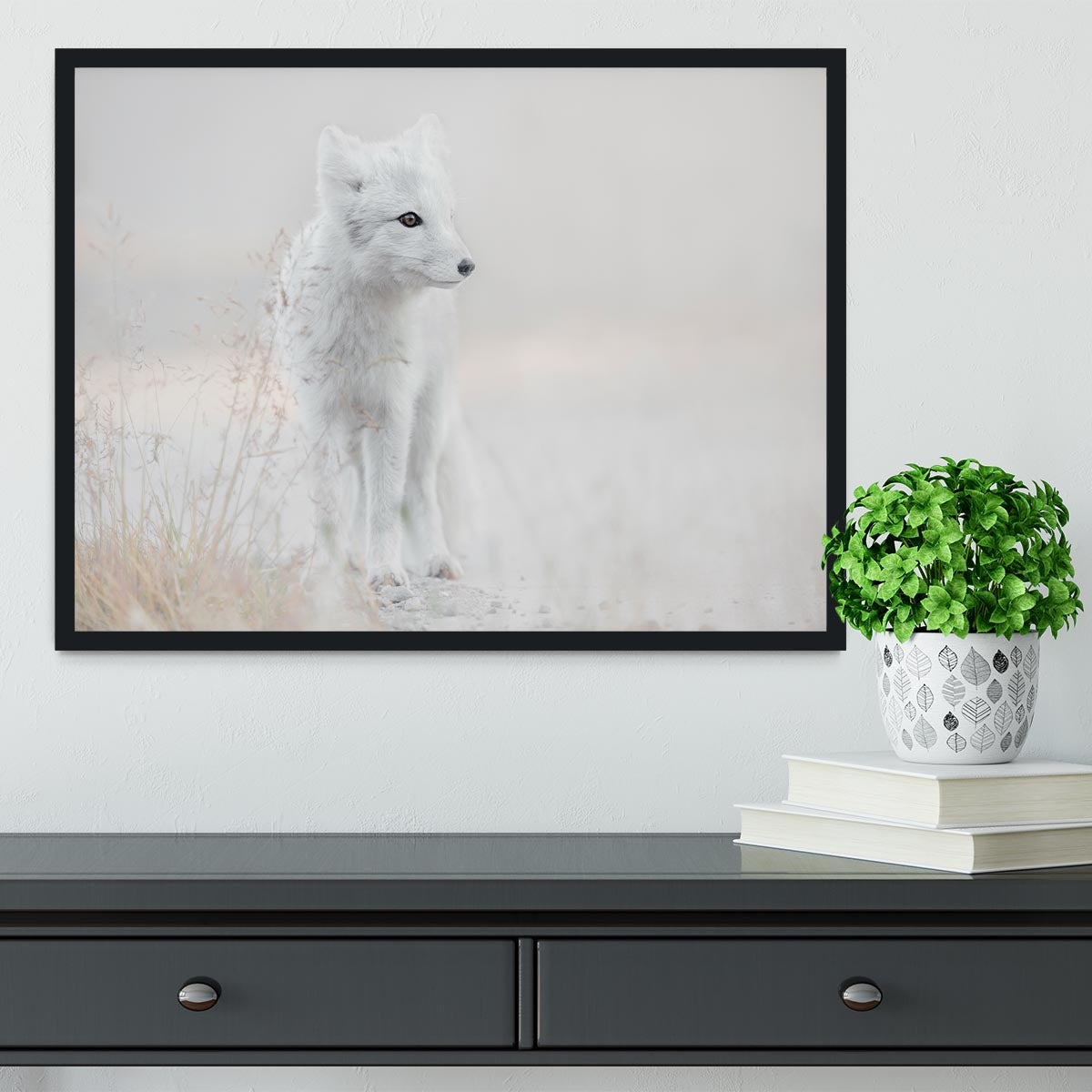 Looking around Framed Print - 1x - 2