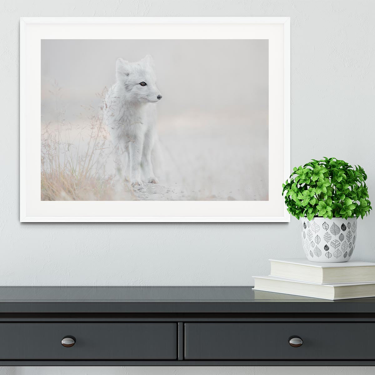 Looking around Framed Print - 1x - 5