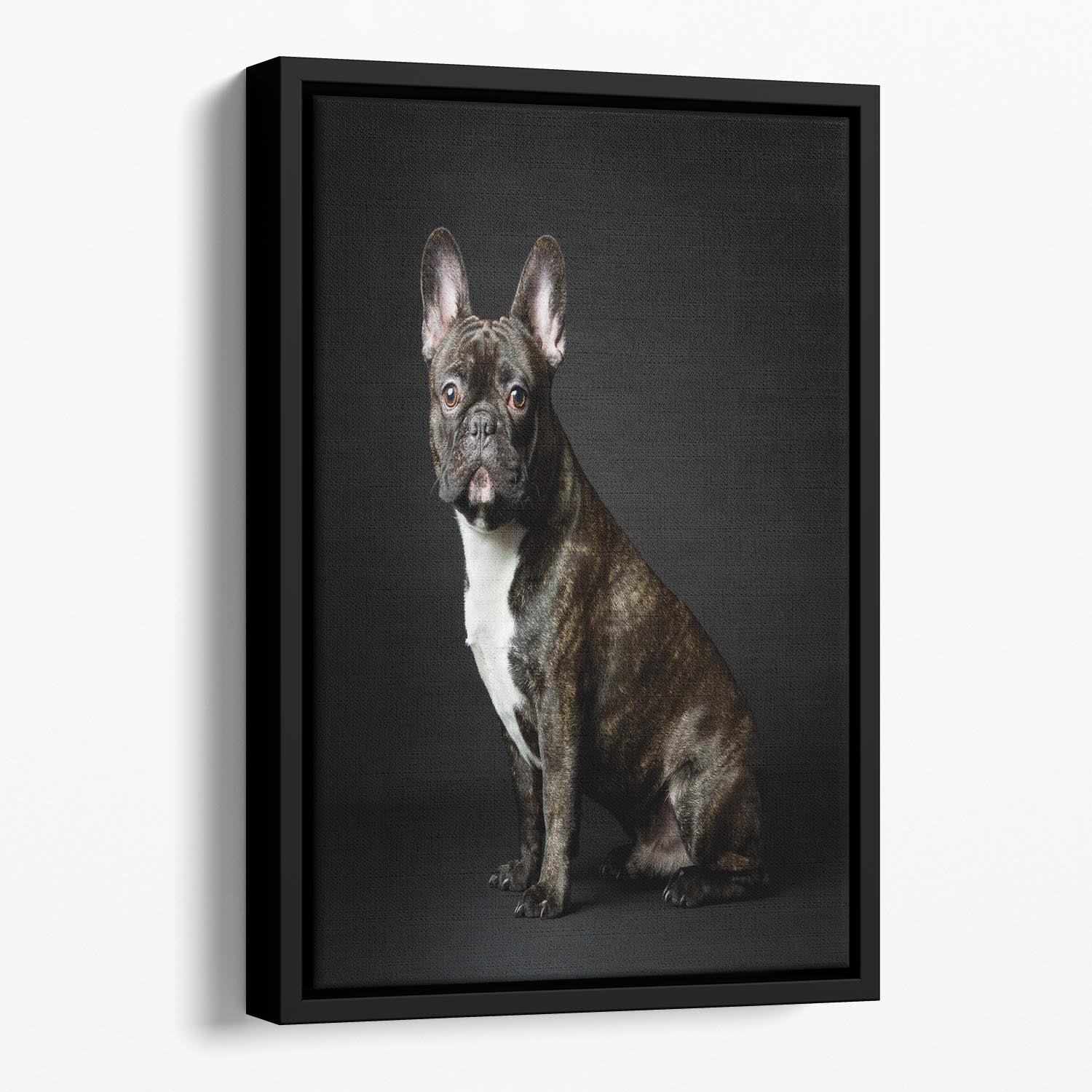 Max Floating Framed Canvas - 1x - 1