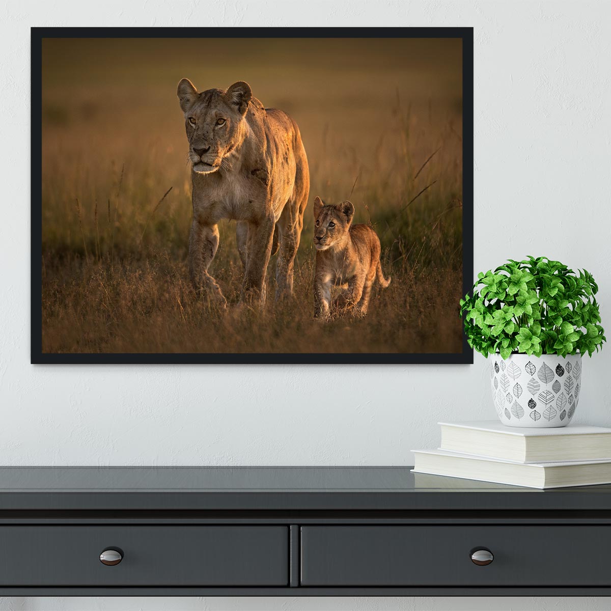 Mom lioness with cub Framed Print - 1x - 2