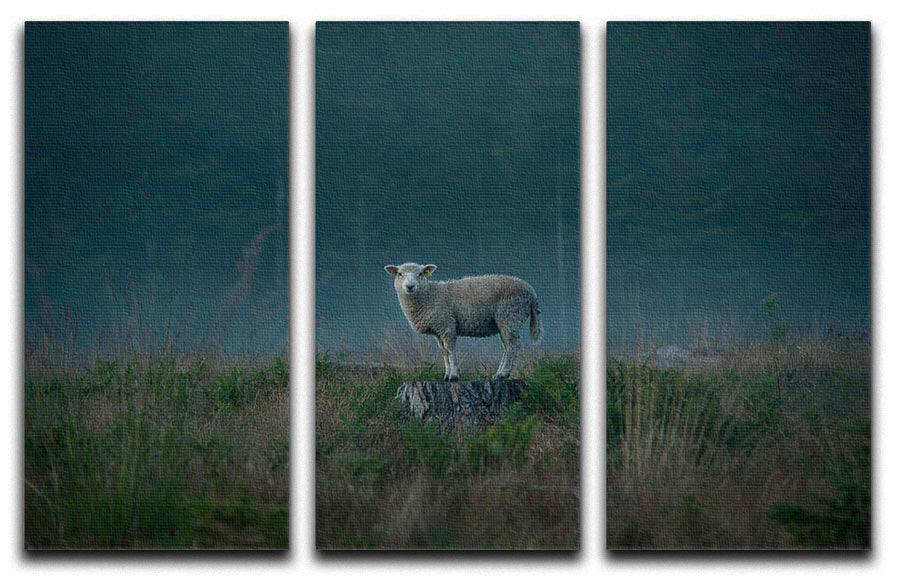 Moody sheep 3 Split Panel Canvas Print - 1x - 1