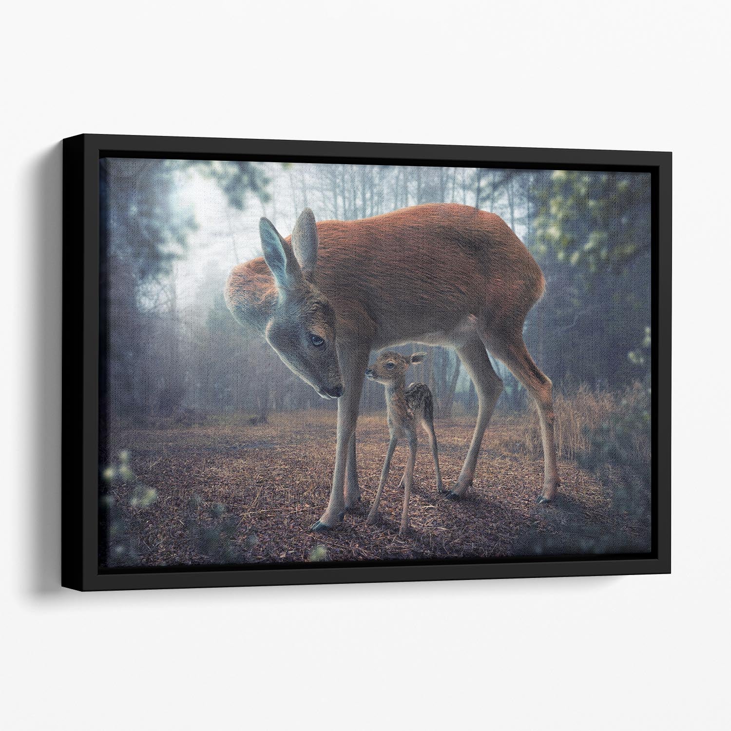 Mother and Fawn Floating Framed Canvas - 1x - 1