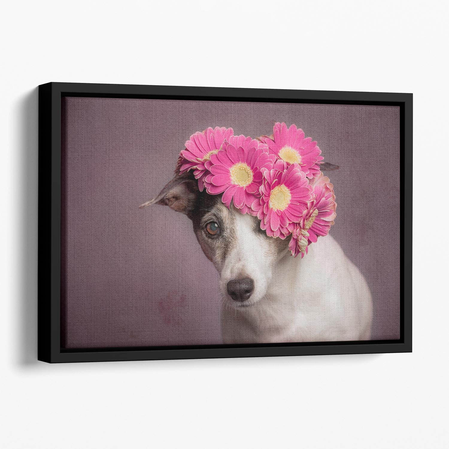 Mrs Spring Floating Framed Canvas - 1x - 1