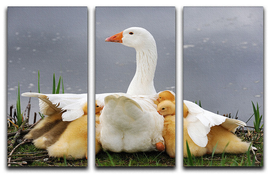 Mums protection 3 Split Panel Canvas Print - 1x - 1