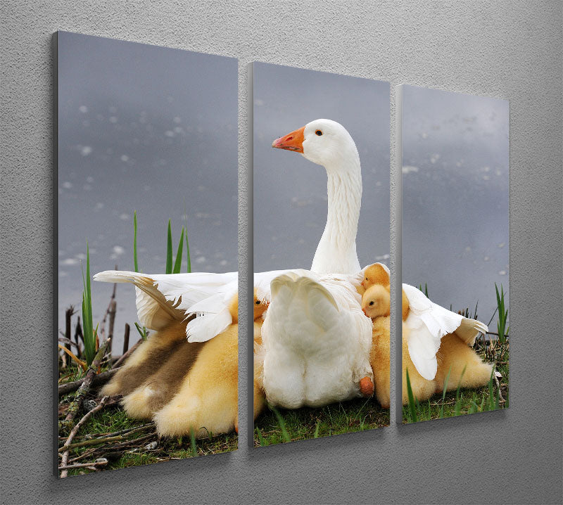 Mums protection 3 Split Panel Canvas Print - 1x - 2