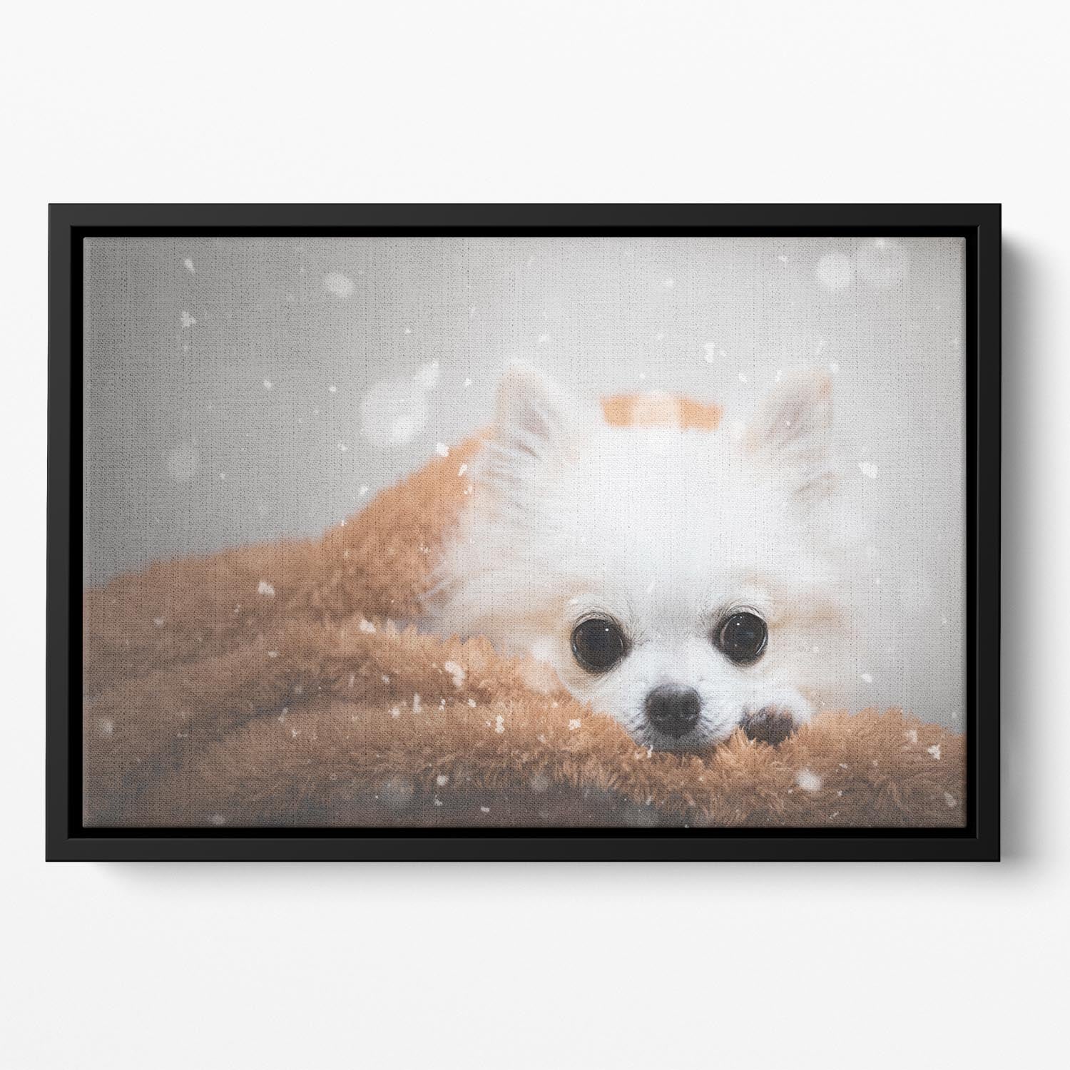 One day in winter Floating Framed Canvas - 1x - 2