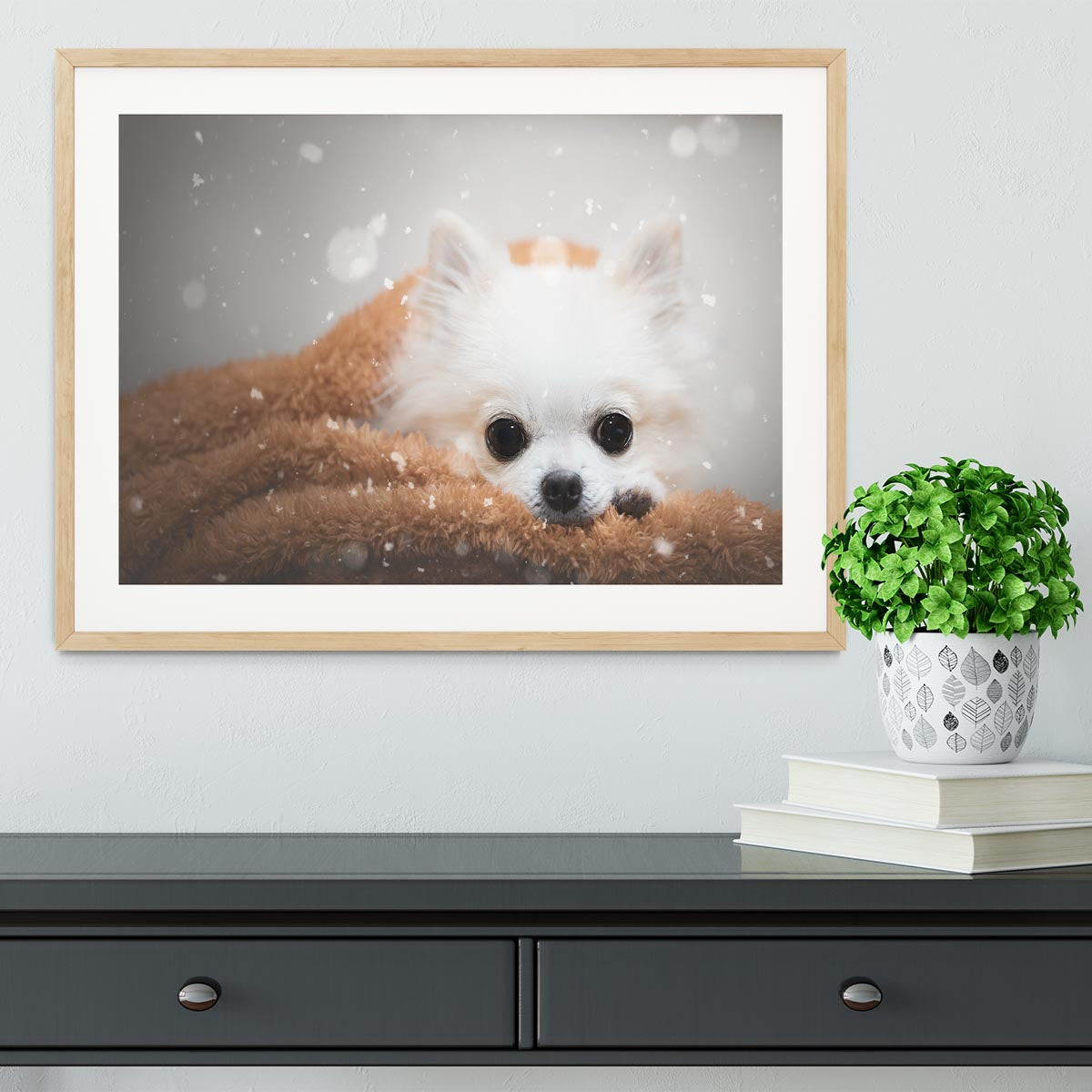 One day in winter Framed Print - 1x - 3