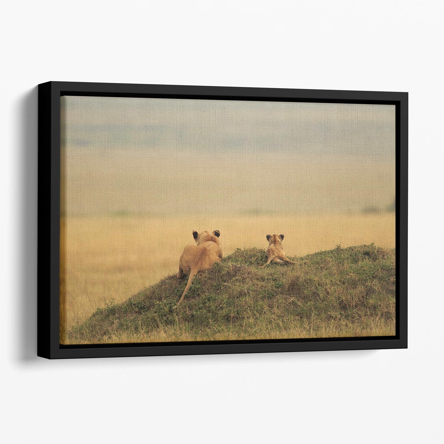 One day it will be yours Floating Framed Canvas - 1x - 1