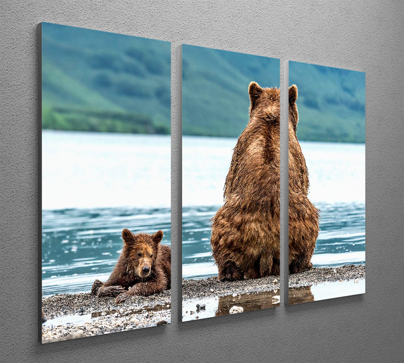 Opposites 3 Split Panel Canvas Print - 1x - 2