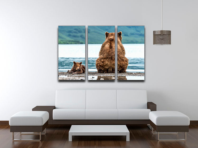 Opposites 3 Split Panel Canvas Print - 1x - 3