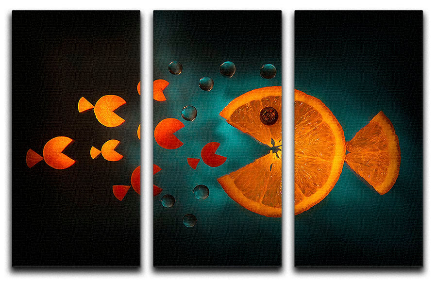 Orange fish 3 Split Panel Canvas Print - 1x - 1