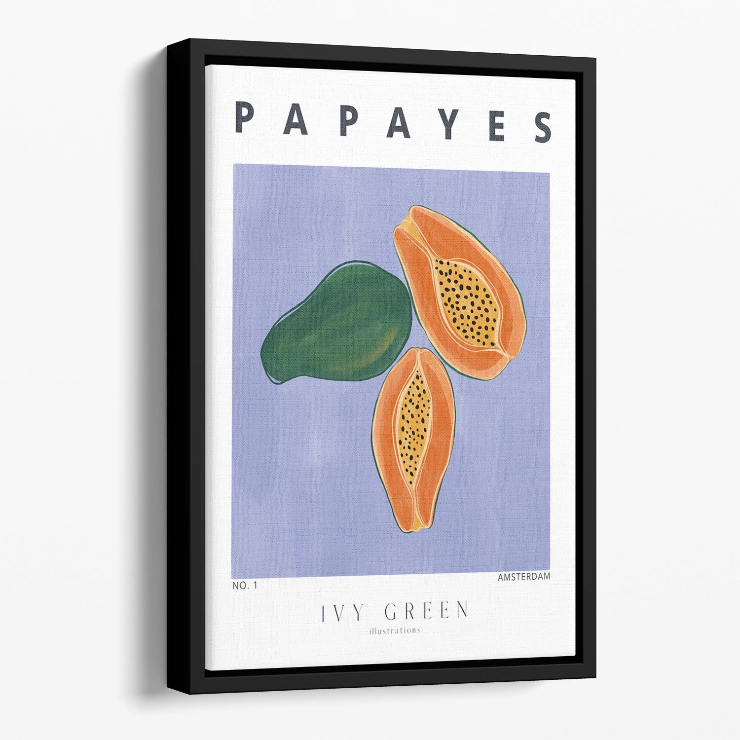 Papayes Floating Framed Canvas - Canvas Art Rocks - 1