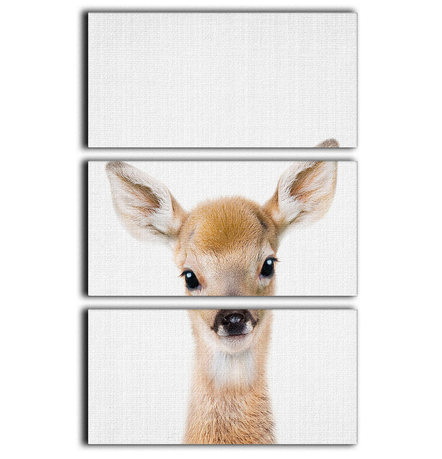 Peekaboo Baby Deer 3 Split Panel Canvas Print - 1x - 1