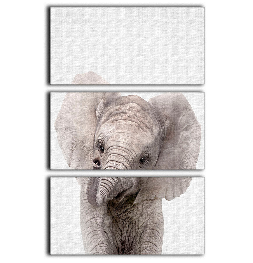 Peekaboo Baby Elephant 3 Split Panel Canvas Print - 1x - 1