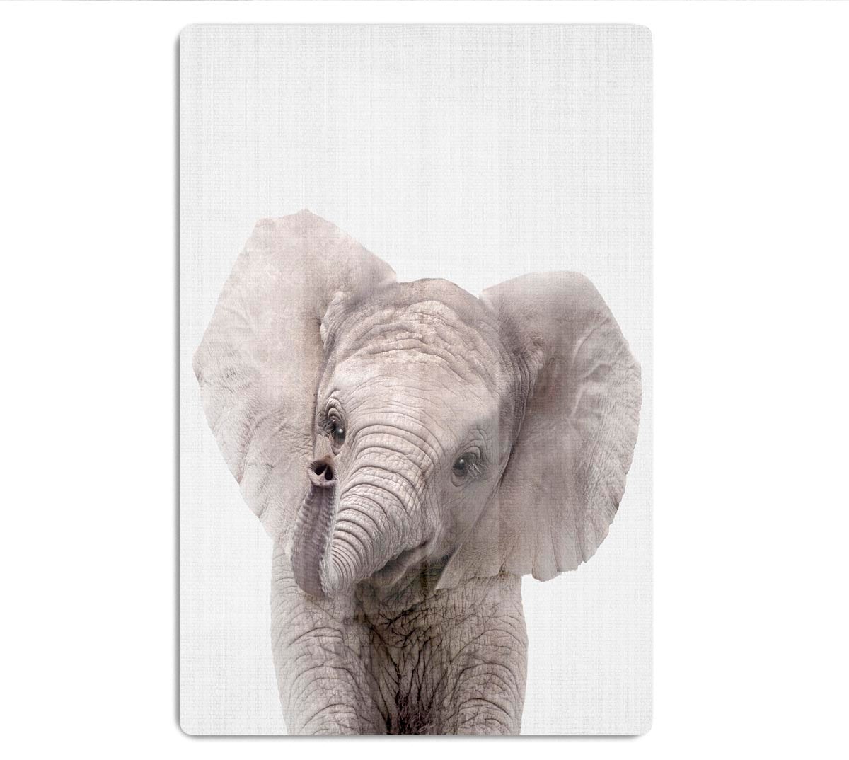Peekaboo Baby Elephant Acrylic Block - 1x - 1
