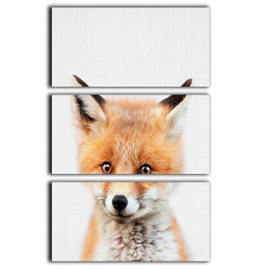 Peekaboo Baby Fox 3 Split Panel Canvas Print - 1x - 1