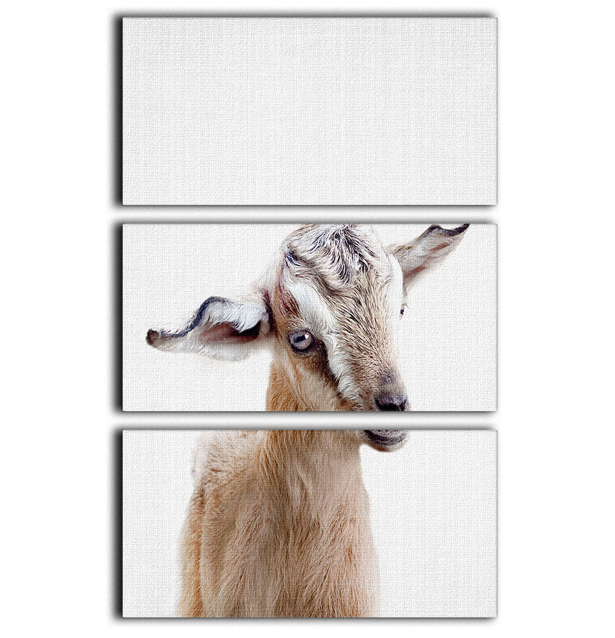 Peekaboo Baby Goat 3 Split Panel Canvas Print - 1x - 1